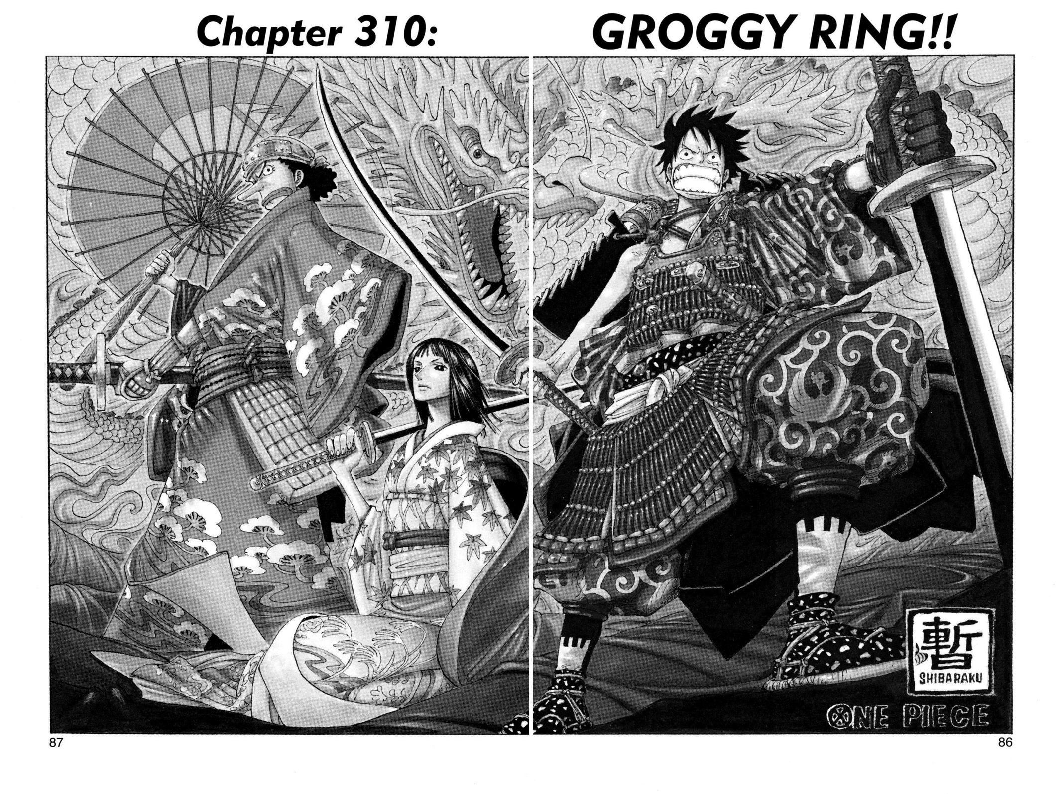 chapter310